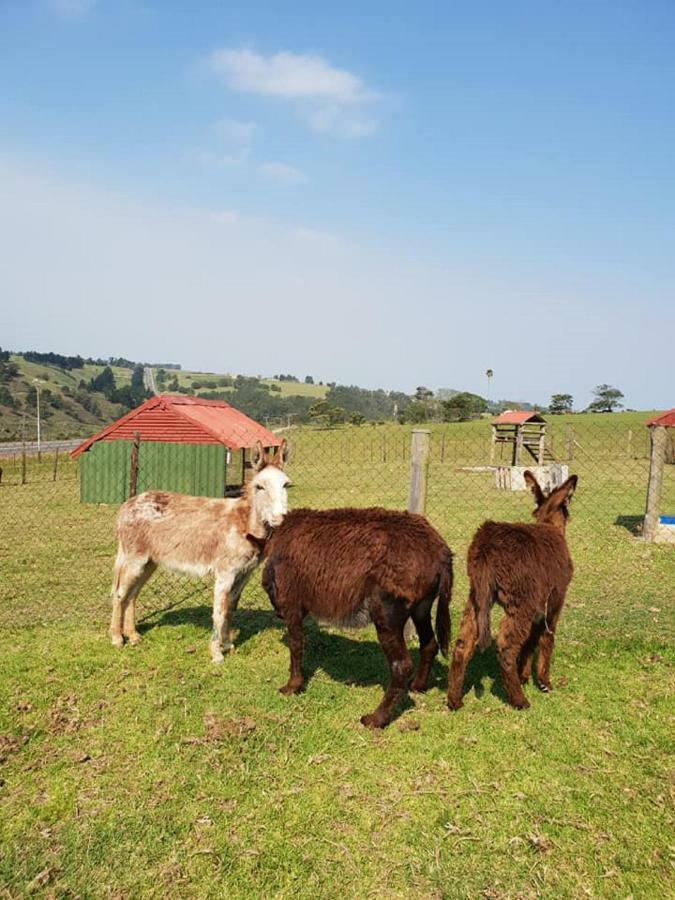 Bed and Breakfast Hartsklop Guest Farm Glentana Exterior foto